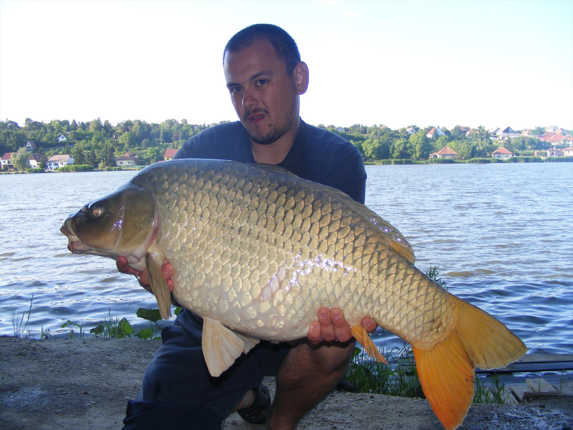 Harsanyi 2013 - dscf6308.JPG